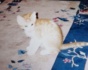 babynikita