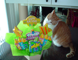 nik-birthday-cookies